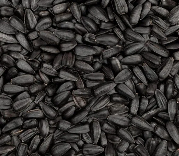 Black Seed Oil